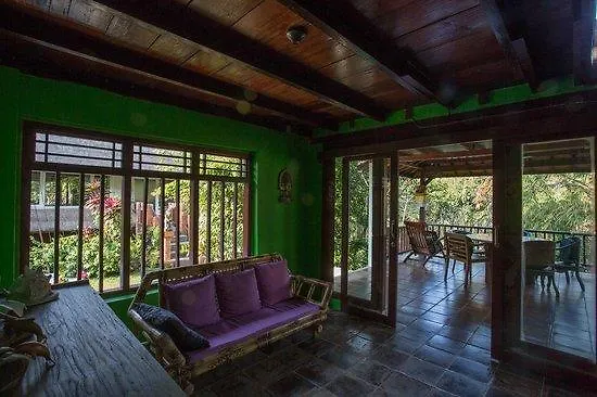 Pugig Homestay Ubud  Indonesia